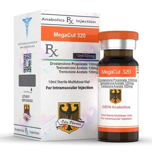 Buy Megacut 320 London